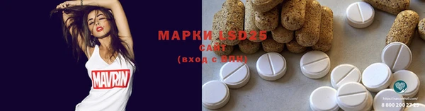 PSILOCYBIN Вязники