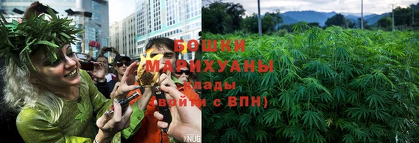 первитин Вяземский
