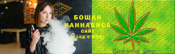 PSILOCYBIN Вязники