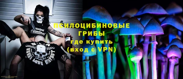 PSILOCYBIN Вязники